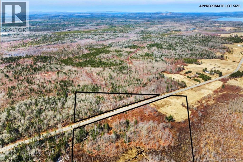 00 Route 636, Harvey, New Brunswick  O0O 0O0 - Photo 5 - NB136938