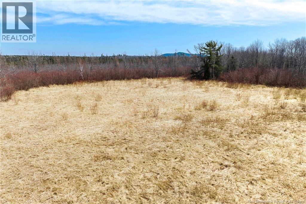 00 Route 636, Harvey, New Brunswick  O0O 0O0 - Photo 6 - NB136938