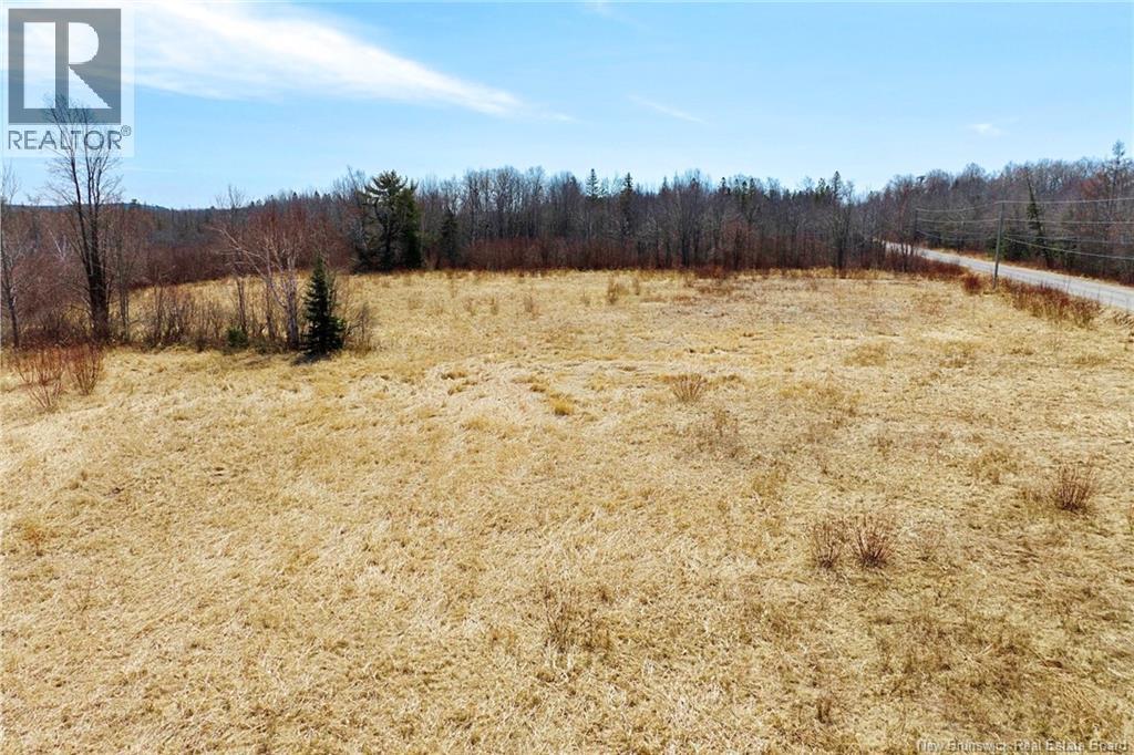 00 Route 636, Harvey, New Brunswick  O0O 0O0 - Photo 7 - NB136938