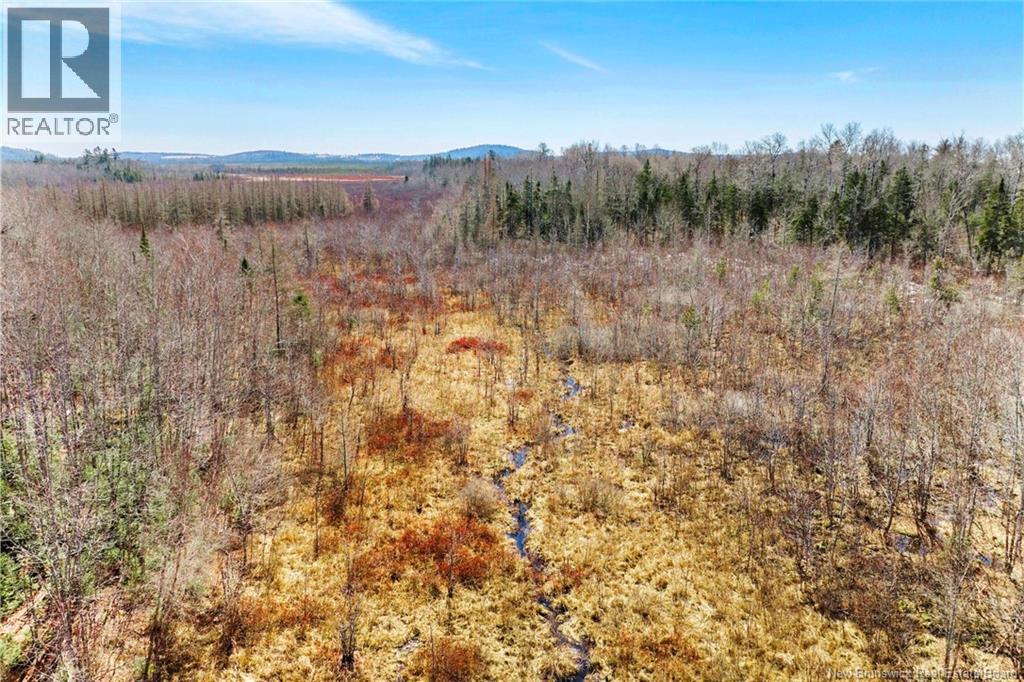 00 Route 636, Harvey, New Brunswick  O0O 0O0 - Photo 8 - NB136938