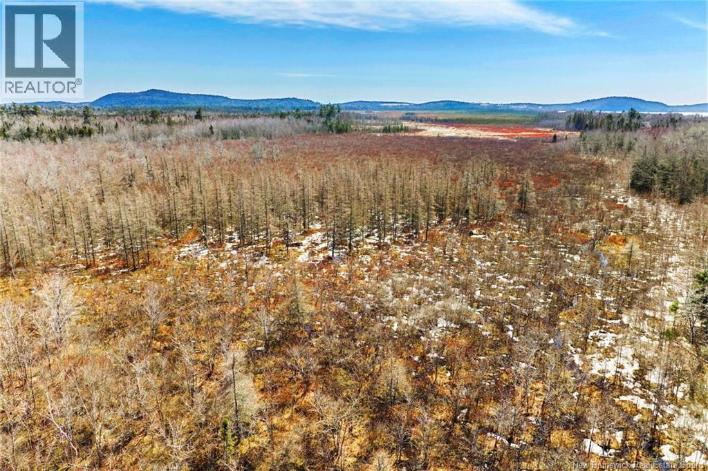 00 Route 636, Harvey, New Brunswick  O0O 0O0 - Photo 9 - NB136938