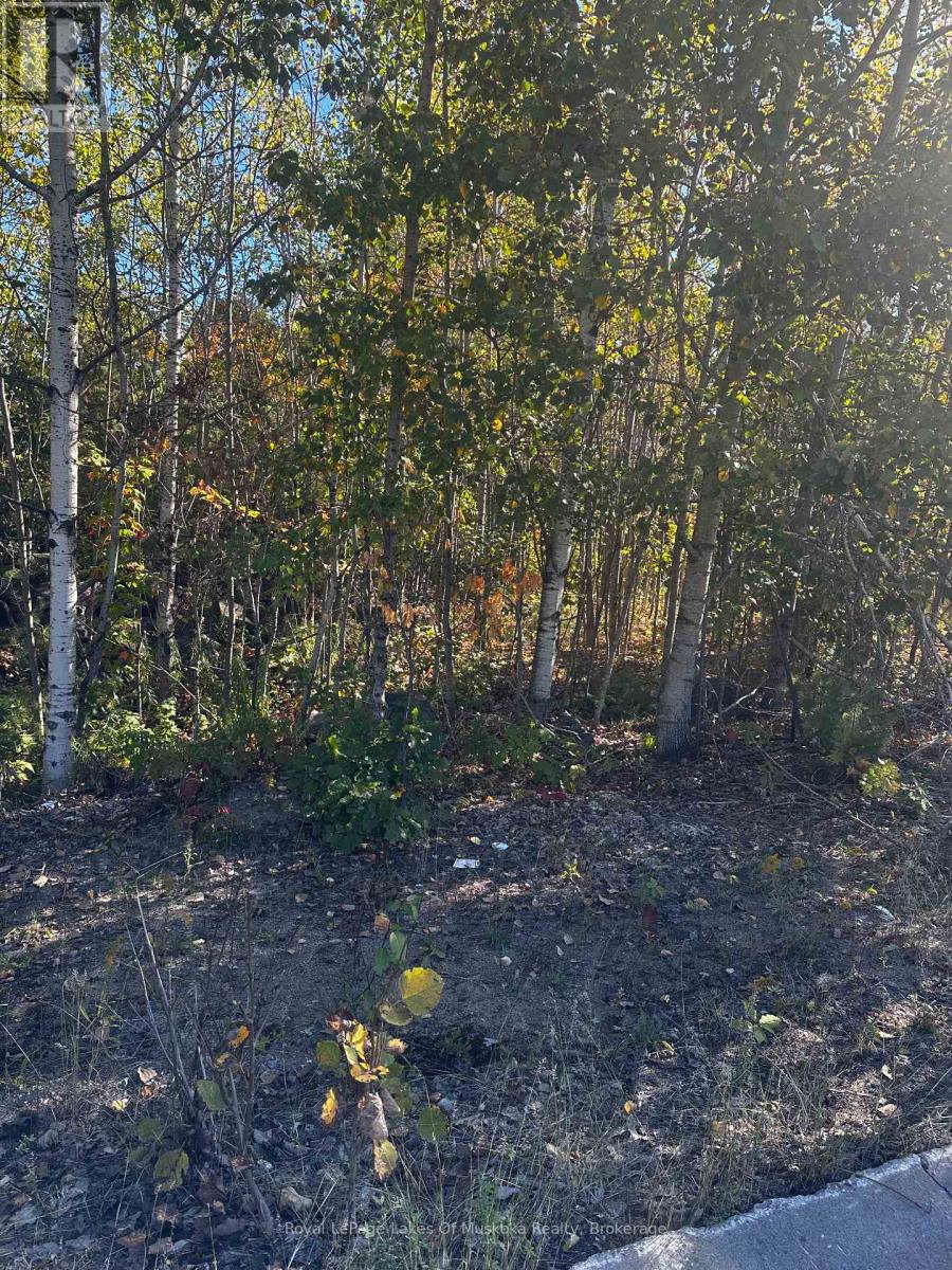 23 Freeland Drive, Gravenhurst, Ontario P1P 1Z6 - Photo 2 - X12438149