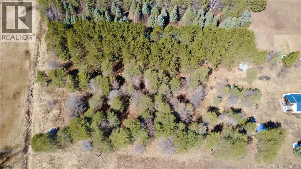 21 Arcade Street, Shediac Bridge, New Brunswick  E4R 5Z4 - Photo 3 - NB137121