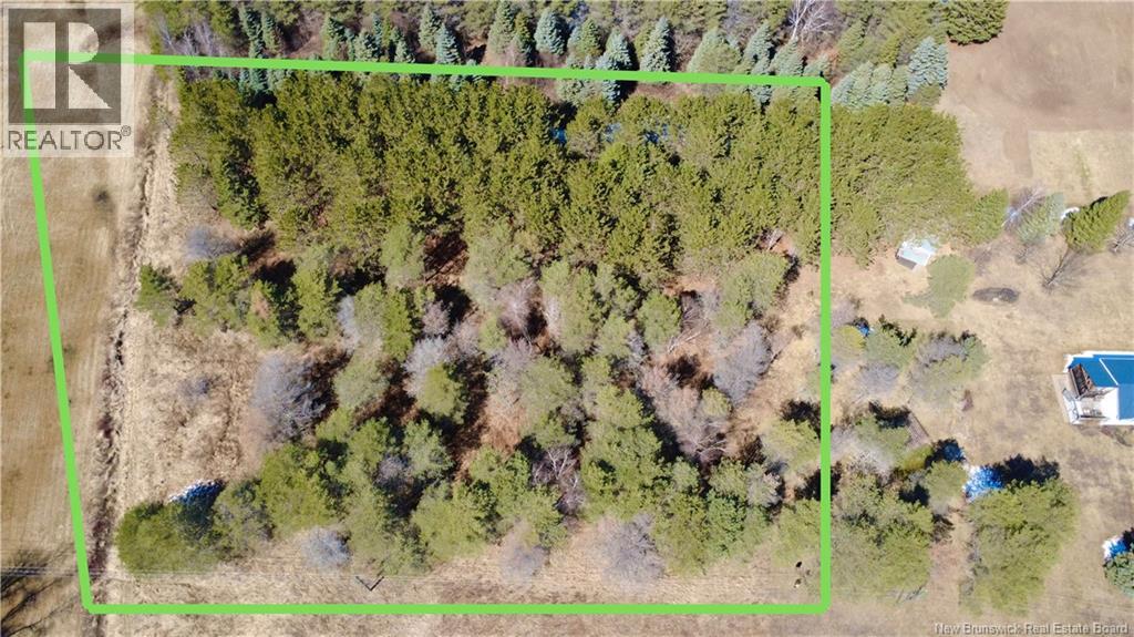 21 Arcade Street, Shediac Bridge, New Brunswick  E4R 5Z4 - Photo 4 - NB137121