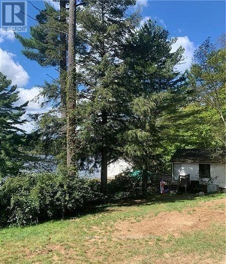 4019 Muskoka 169 Road, Muskoka Lakes, Ontario  P0C 1A0 - Photo 29 - X12534158