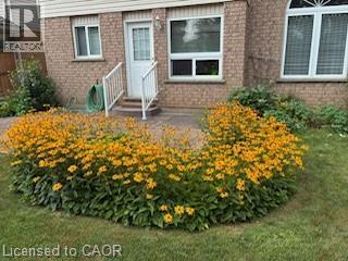 6 Keller Crescent, Kitchener, Ontario  N2N 3M7 - Photo 41 - 40810303