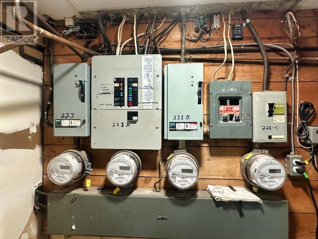 221 & 223 Bruce Street, Thunder Bay, Ontario  P7A 5W8 - Photo 31 - TB253587