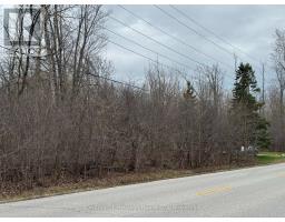 V/L- PTLT 4 HELENA STREET, Fort Erie, Ontario