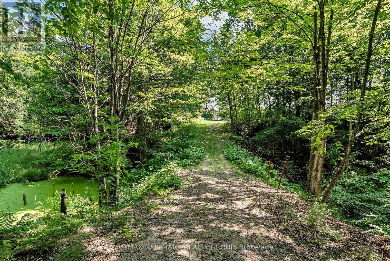 656 Ch Station Road, Alfred And Plantagenet, Ontario K0B 1A0 - Photo 38 - X12994602