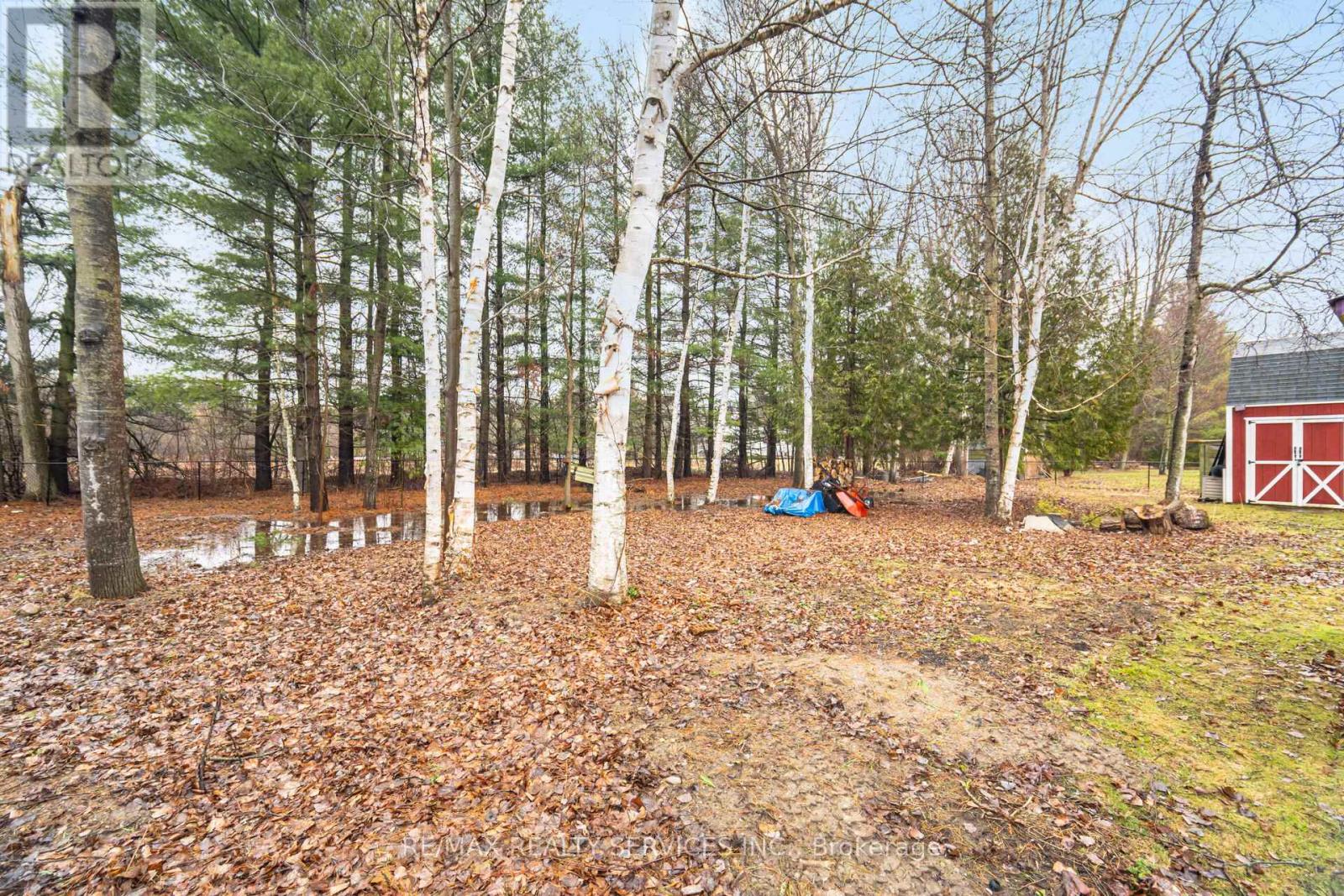 56 Princess Drive, Adjala-Tosorontio (Lisle), Ontario  L0M 1M0 - Photo 31 - N12994552