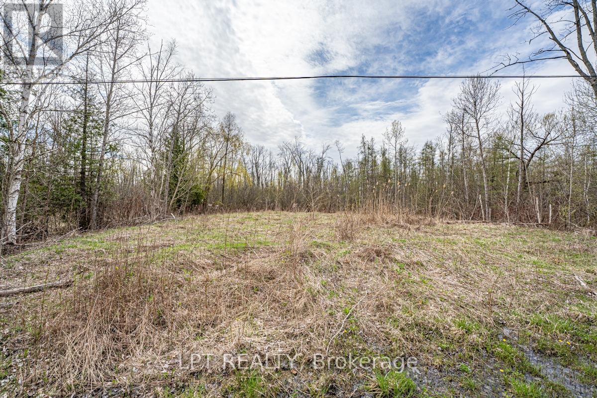 Lot 11 Donna Drive, Georgina, Ontario  L0E 1N0 - Photo 5 - N12994560