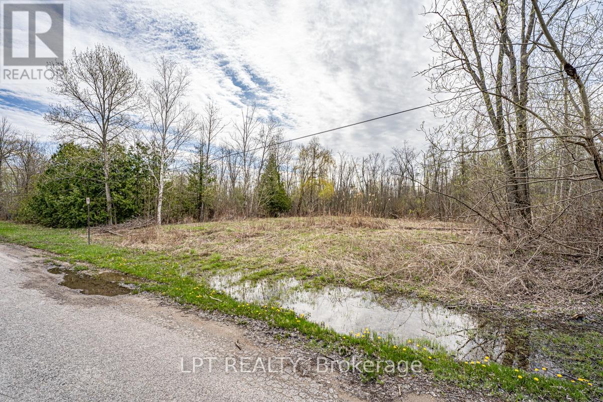 Lot 11 Donna Drive, Georgina, Ontario  L0E 1N0 - Photo 6 - N12994560
