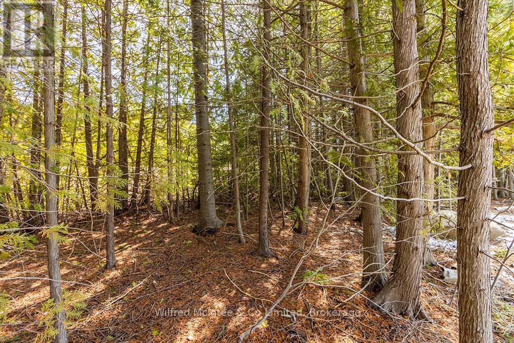 Part 2 Plan 3r-10841 Turner Street, Saugeen Shores, Ontario  N0H 2L0 - Photo 10 - X12547478