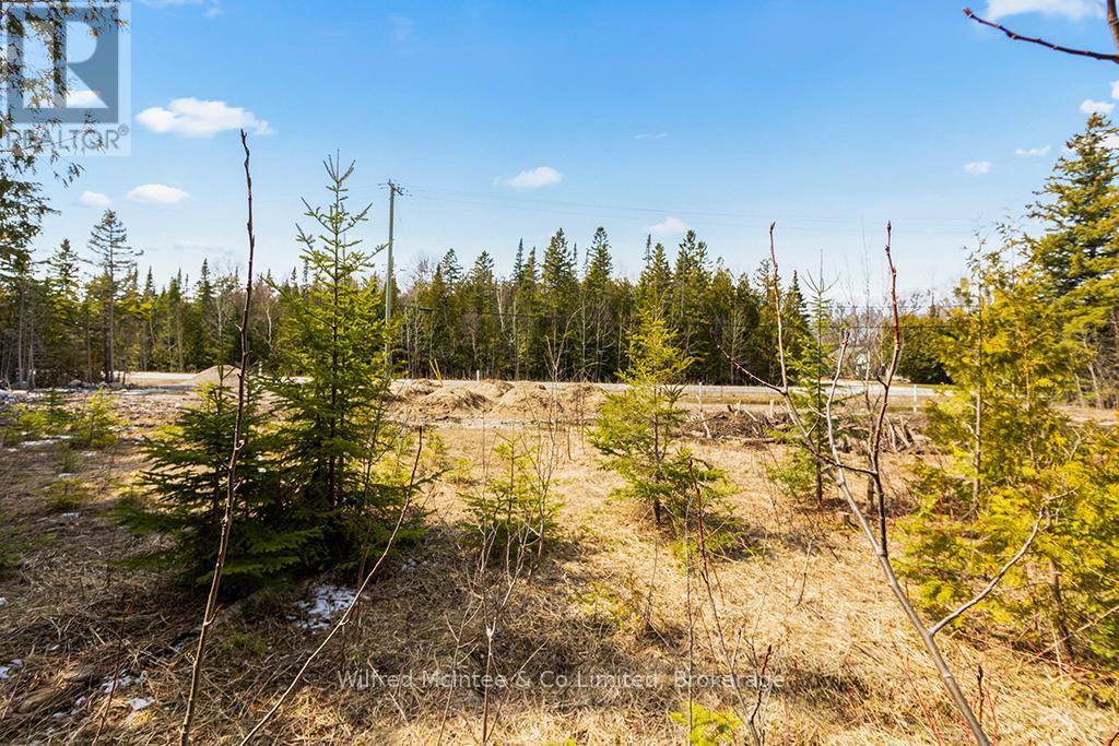 Part 2 Plan 3r-10841 Turner Street, Saugeen Shores, Ontario  N0H 2L0 - Photo 9 - X12547478