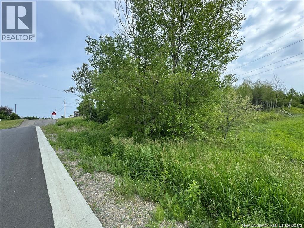 Evangeline Street, Grand-Sault/grand Falls, New Brunswick  E3Y 1B9 - Photo 2 - NB137140