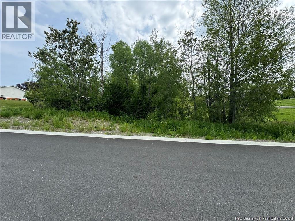 Evangeline Street, Grand-Sault/grand Falls, New Brunswick  E3Y 1B9 - Photo 4 - NB137140