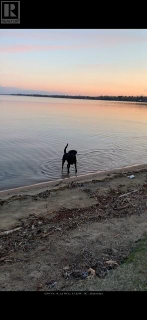 3295 Turnbull Drive, Severn, Ontario  L3V 0Y4 - Photo 37 - S12956750