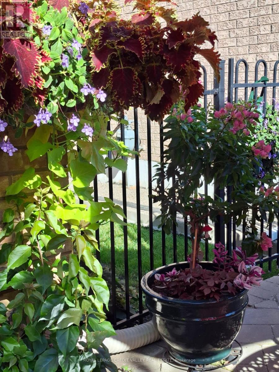 75 Royal Valley Drive S, Caledon, Ontario  L7C 1A2 - Photo 26 - W12991334