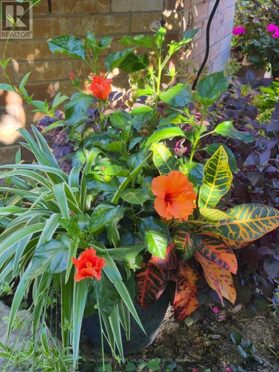 75 Royal Valley Drive S, Caledon, Ontario  L7C 1A2 - Photo 28 - W12991334