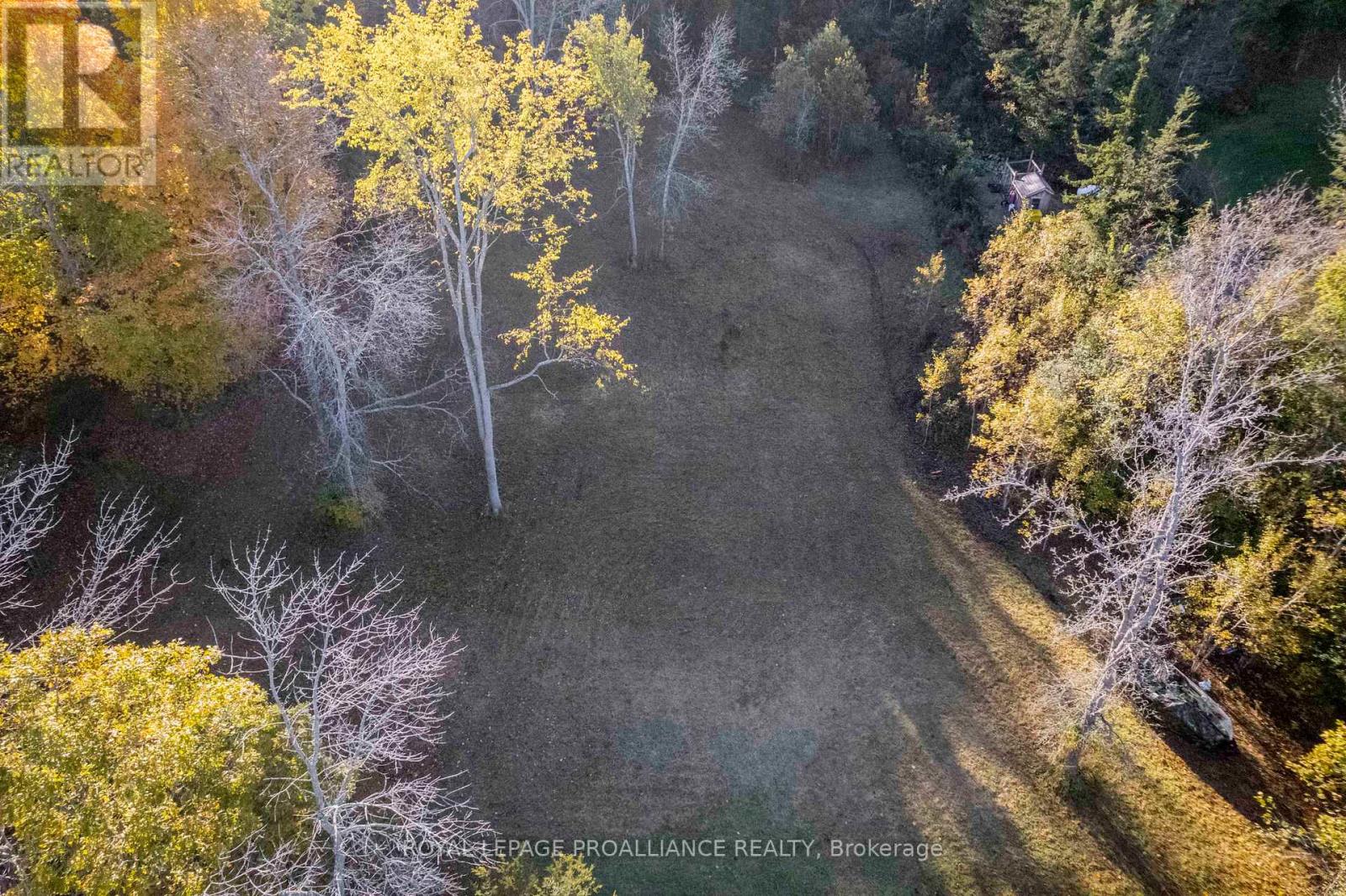 863 Gunter Settlement Road, Quinte West, Ontario  K8V 5P6 - Photo 4 - X12994690