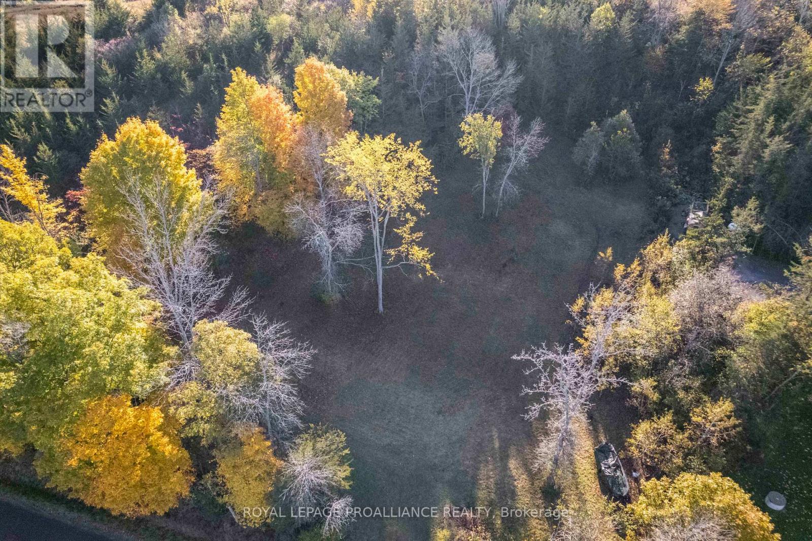863 Gunter Settlement Road, Quinte West, Ontario  K8V 5P6 - Photo 5 - X12994690