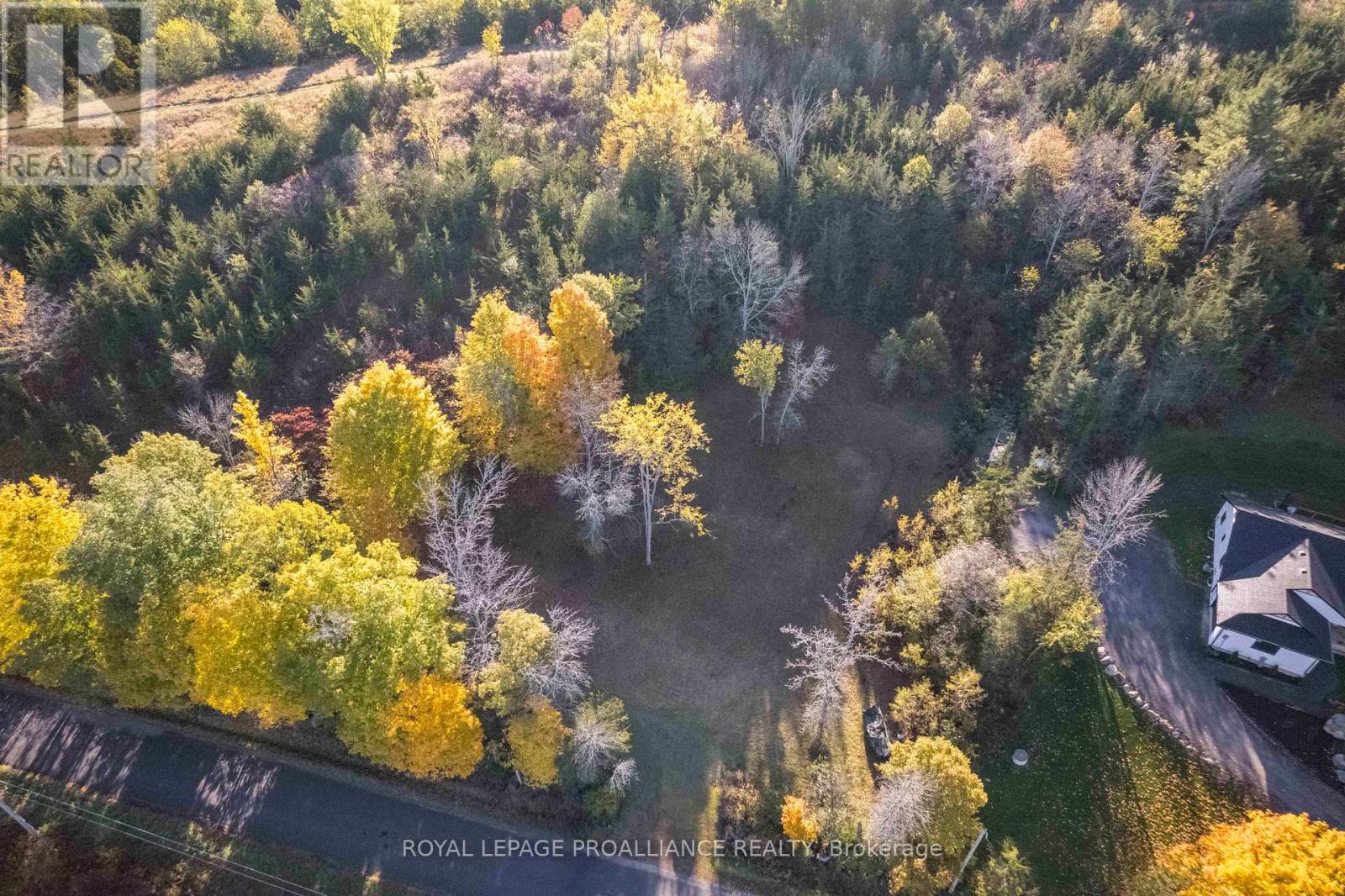 863 Gunter Settlement Road, Quinte West, Ontario  K8V 5P6 - Photo 6 - X12994690