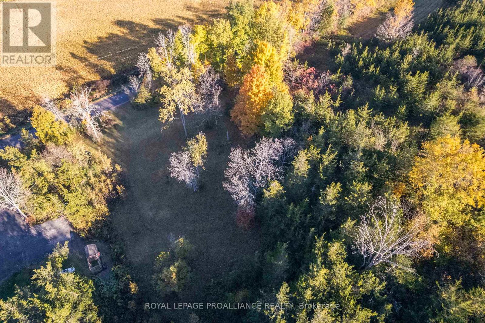 863 Gunter Settlement Road, Quinte West, Ontario  K8V 5P6 - Photo 9 - X12994690