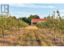 890 DANFORTH ROAD, Prince Edward County, Ontario