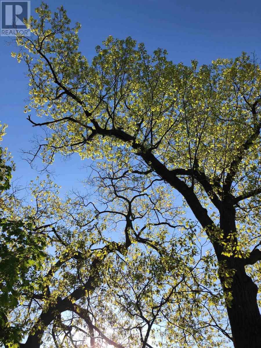 75 Evelyn Avenue, Toronto, Ontario  M6P 2Z2 - Photo 33 - W12994854