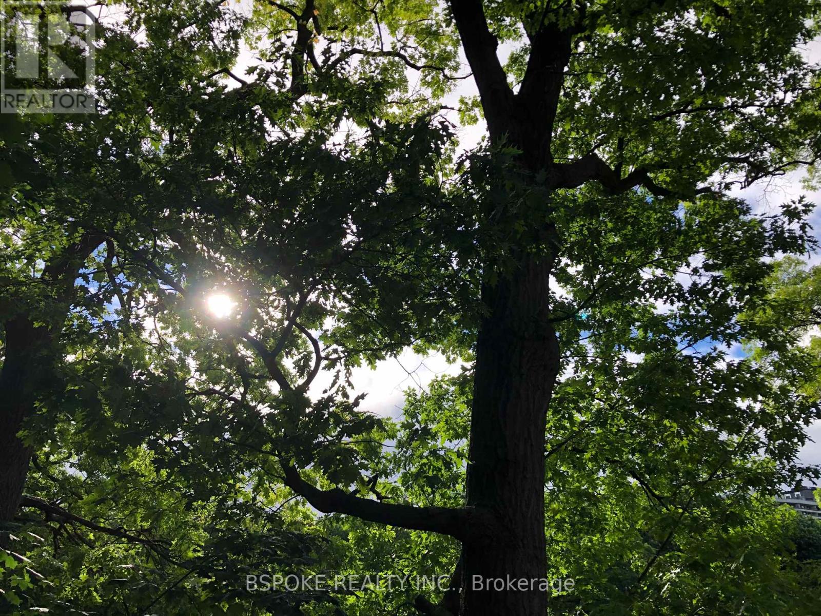 75 Evelyn Avenue, Toronto, Ontario  M6P 2Z2 - Photo 34 - W12994854