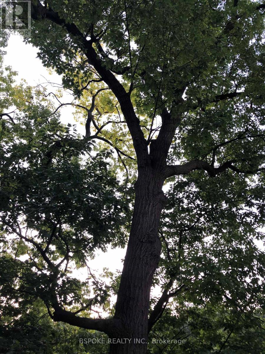 75 Evelyn Avenue, Toronto, Ontario  M6P 2Z2 - Photo 35 - W12994854