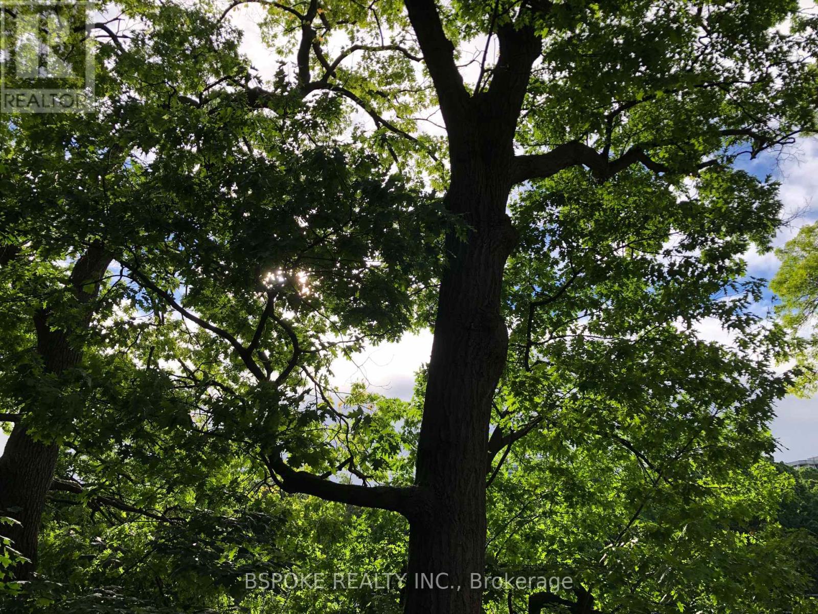 75 Evelyn Avenue, Toronto, Ontario  M6P 2Z2 - Photo 36 - W12994854