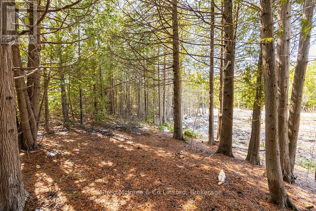 Part 3 Plan 3r-10841 Turner Street, Saugeen Shores, Ontario  N0H 2L0 - Photo 10 - X12547480