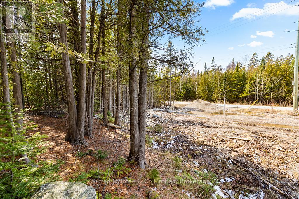 Part 3 Plan 3r-10841 Turner Street, Saugeen Shores, Ontario  N0H 2L0 - Photo 9 - X12547480