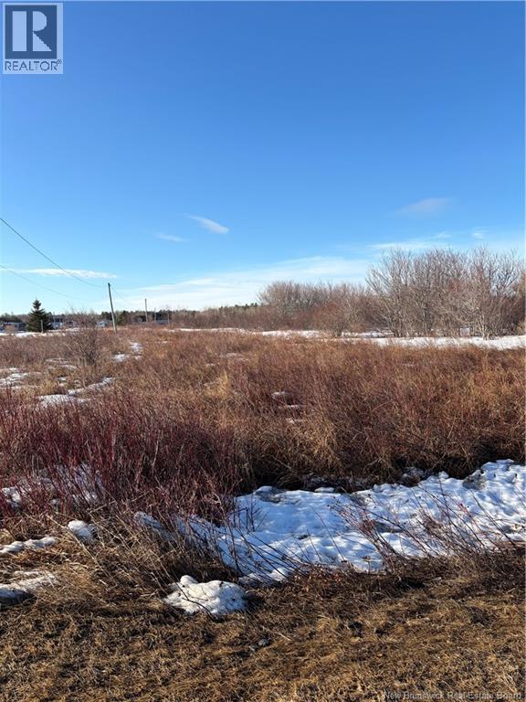 1.3 Acres Du Vieux Port De Mer Street, Petite-Rivière-De-I'lle, New Brunswick  E8T 1X6 - Photo 1 - NB137132