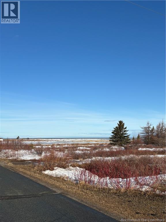 1.3 Acres Du Vieux Port De Mer Street, Petite-Rivière-De-I'lle, New Brunswick  E8T 1X6 - Photo 4 - NB137132
