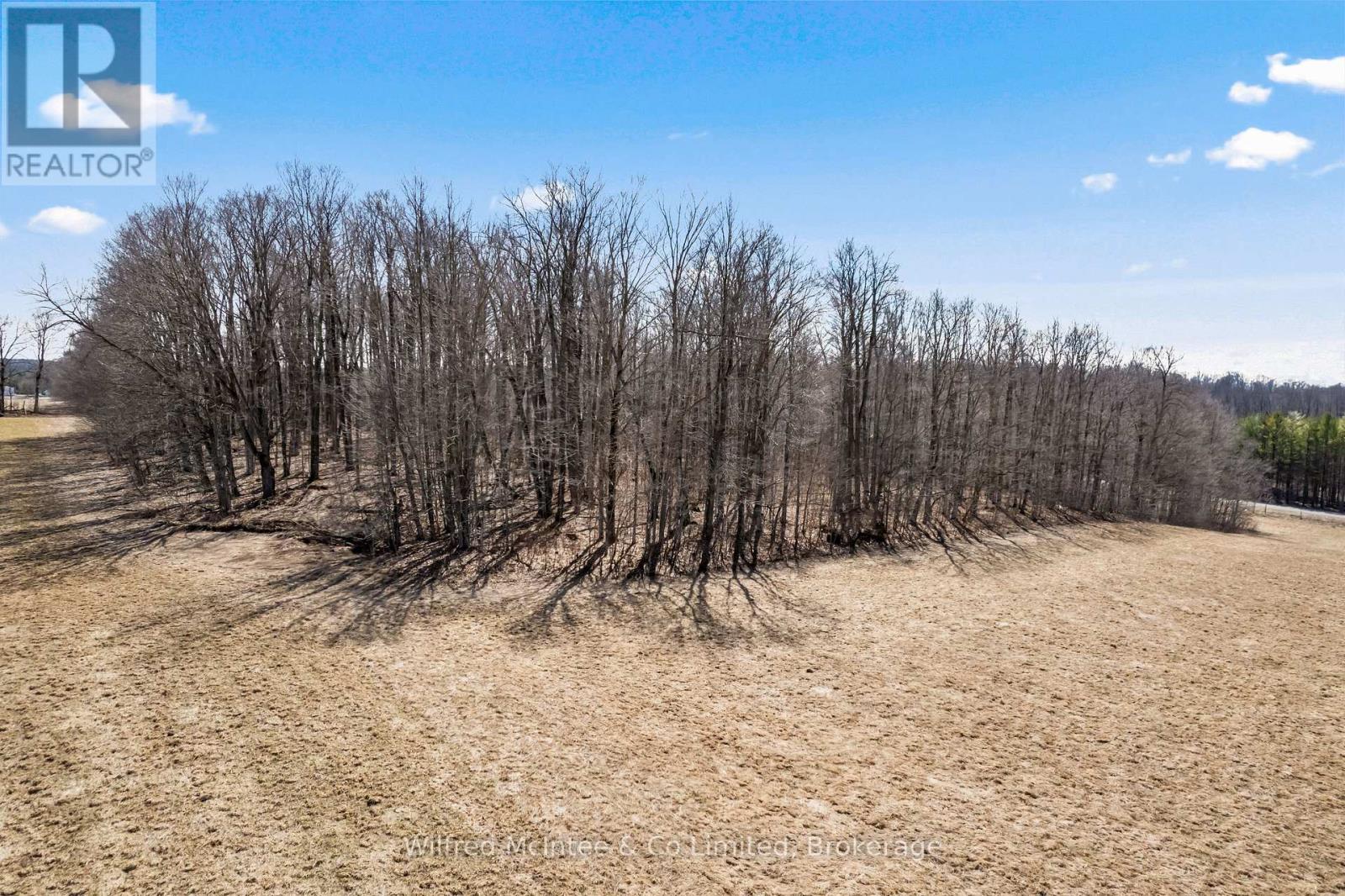 173987 Mulock Road, West Grey, Ontario  N0G 1S0 - Photo 43 - X12995074