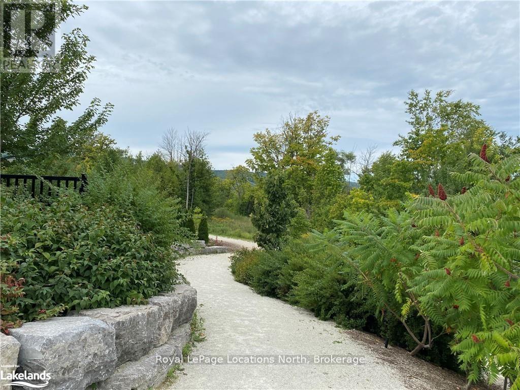 207 Yellow Birch Crescent, Blue Mountains, Ontario  L9Y 0Z3 - Photo 50 - X12995204