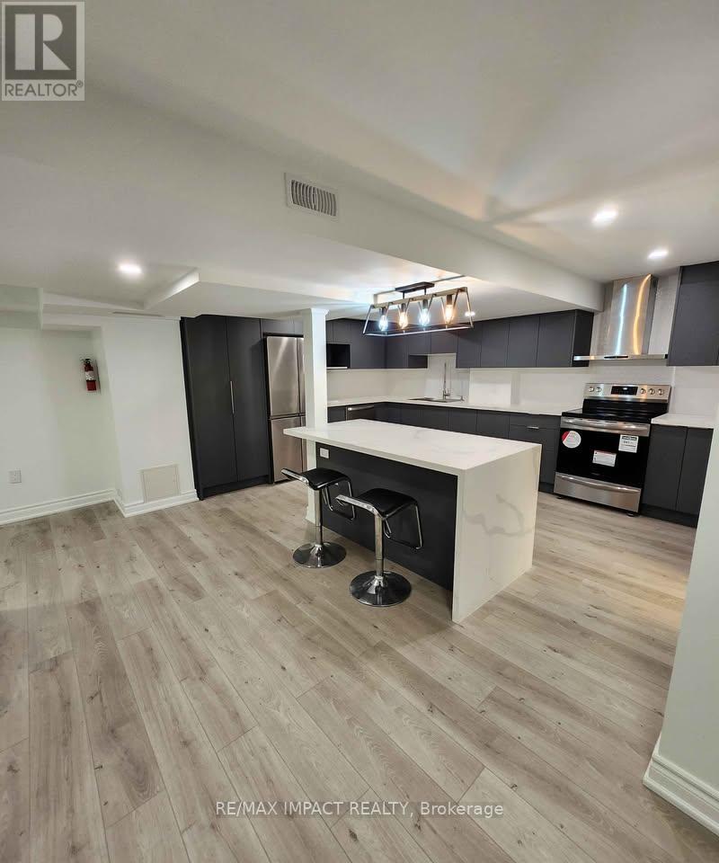 Basement - 127 Gillett Drive, Ajax, Ontario  L1Z 0C1 - Photo 2 - E12994966