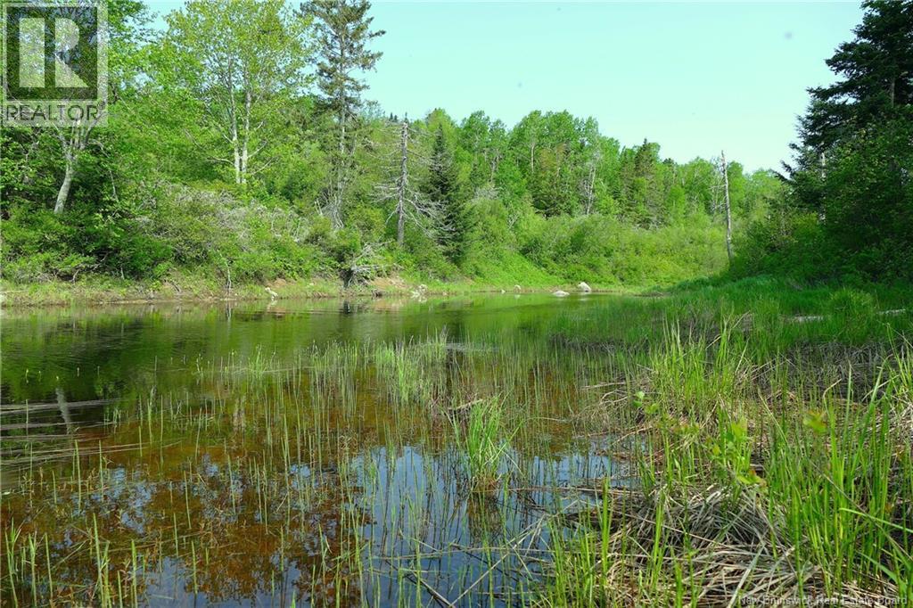 977 Route 770, Bonny River, New Brunswick  E5C 1C8 - Photo 9 - NB134602