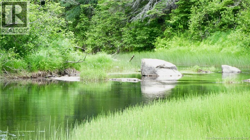 977 Route 770, Bonny River, New Brunswick  E5C 1C8 - Photo 10 - NB134602