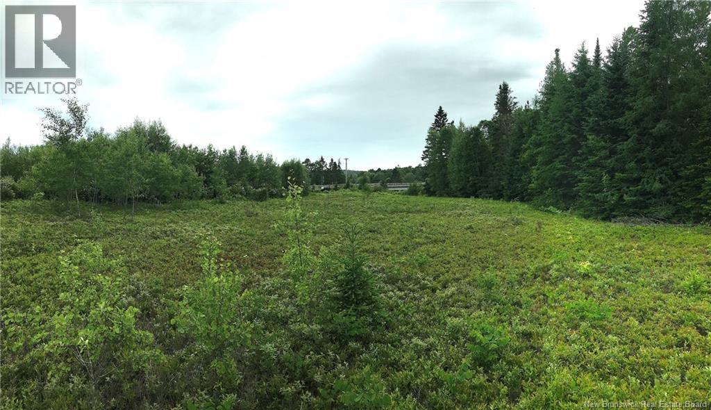 977 Route 770, Bonny River, New Brunswick  E5C 1C8 - Photo 2 - NB134602