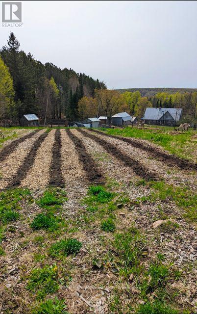 2481 North Shore Road, Algonquin Highlands, Ontario  K0M 1S0 - Photo 41 - X12995318
