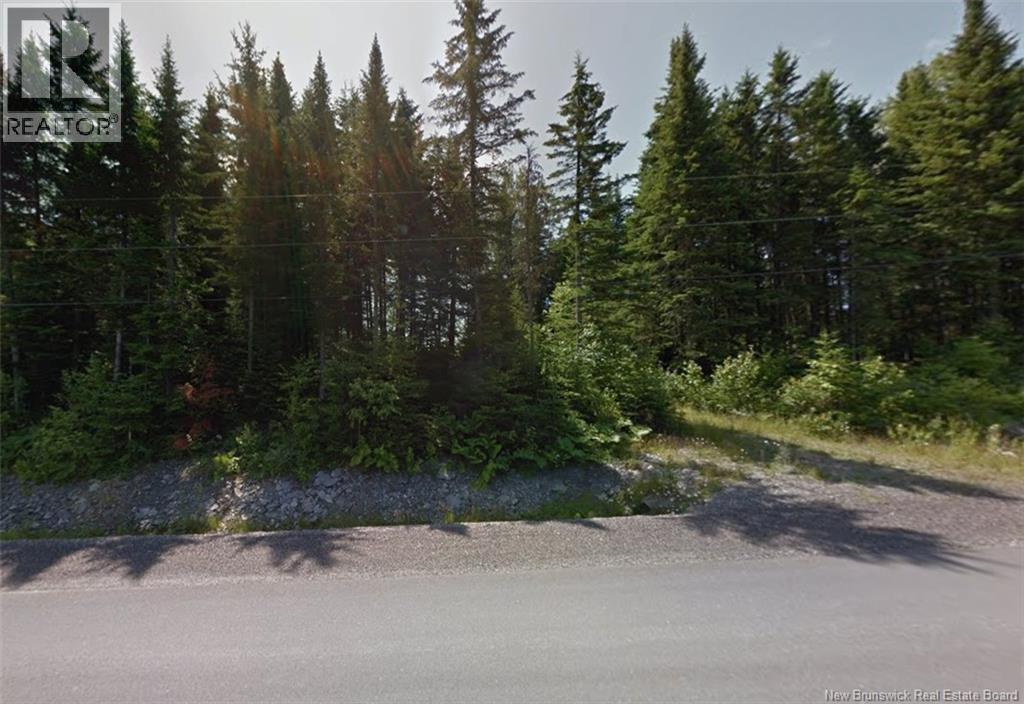 Route 205, Saint-François-De-Madawaska, New Brunswick  E7A 1R8 - Photo 1 - NB137155