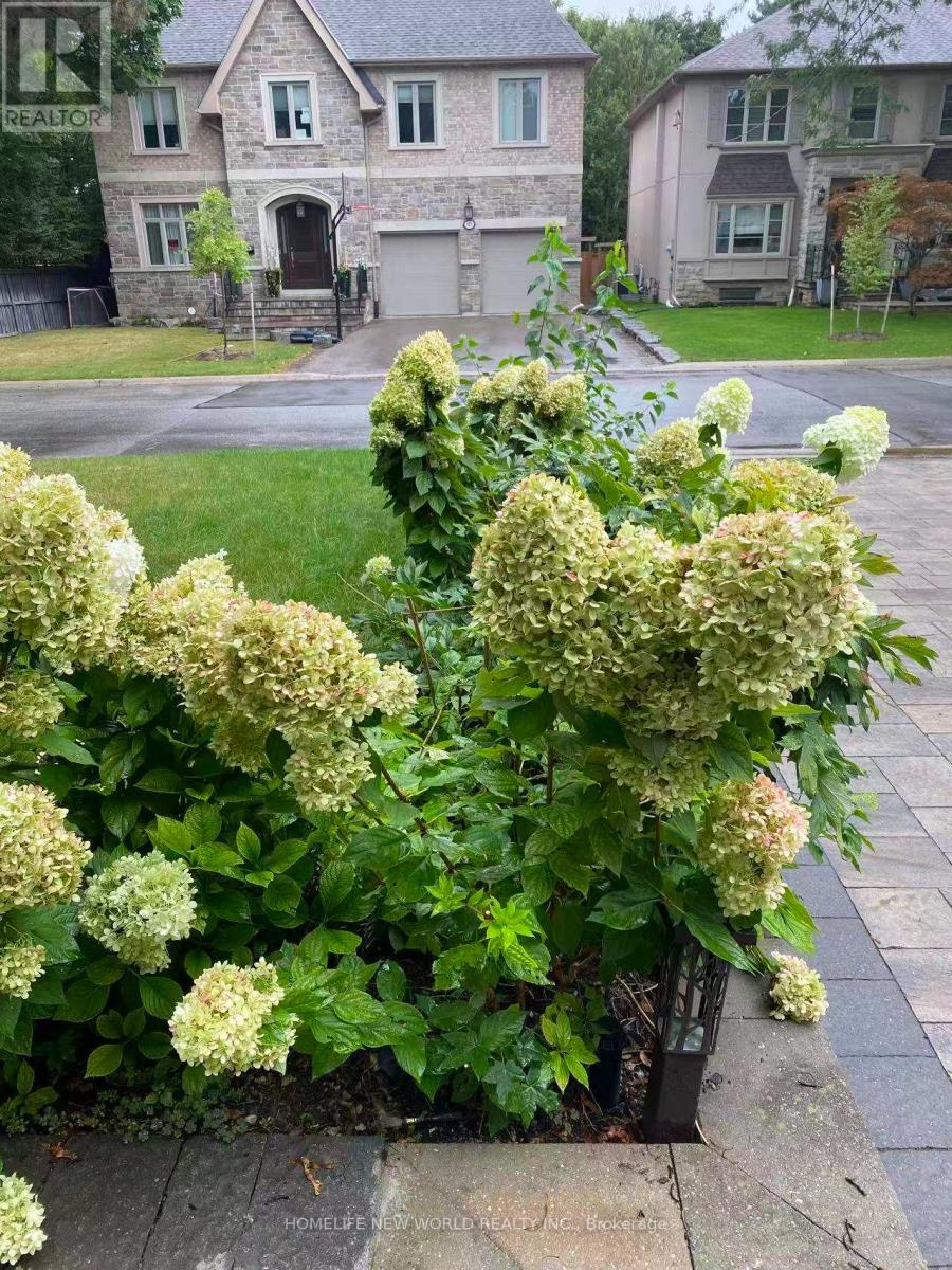 Unknown Address, ,    - Photo 40 - C12995350