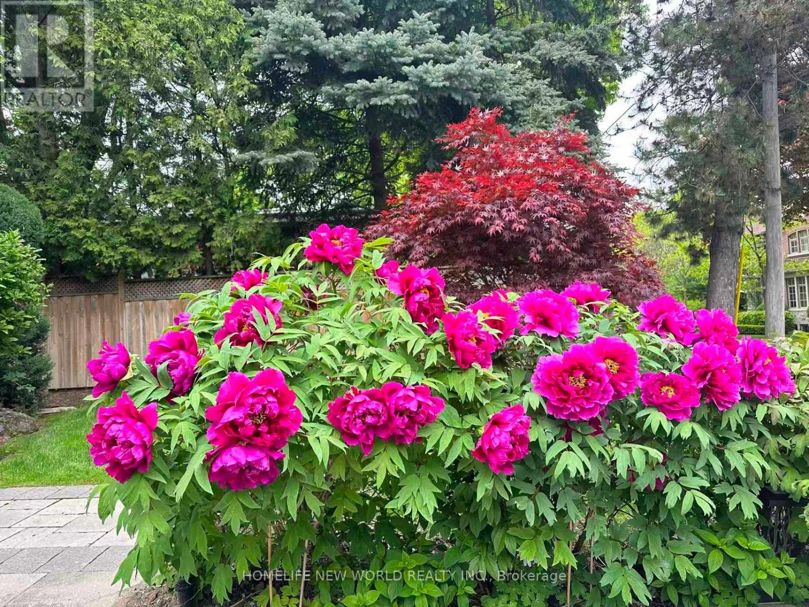 Unknown Address, ,    - Photo 41 - C12995350