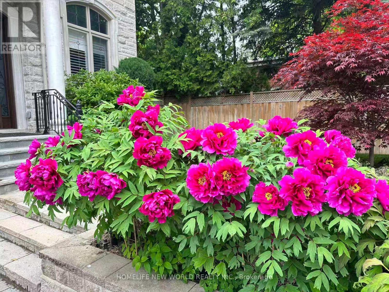 Unknown Address, ,    - Photo 45 - C12995350