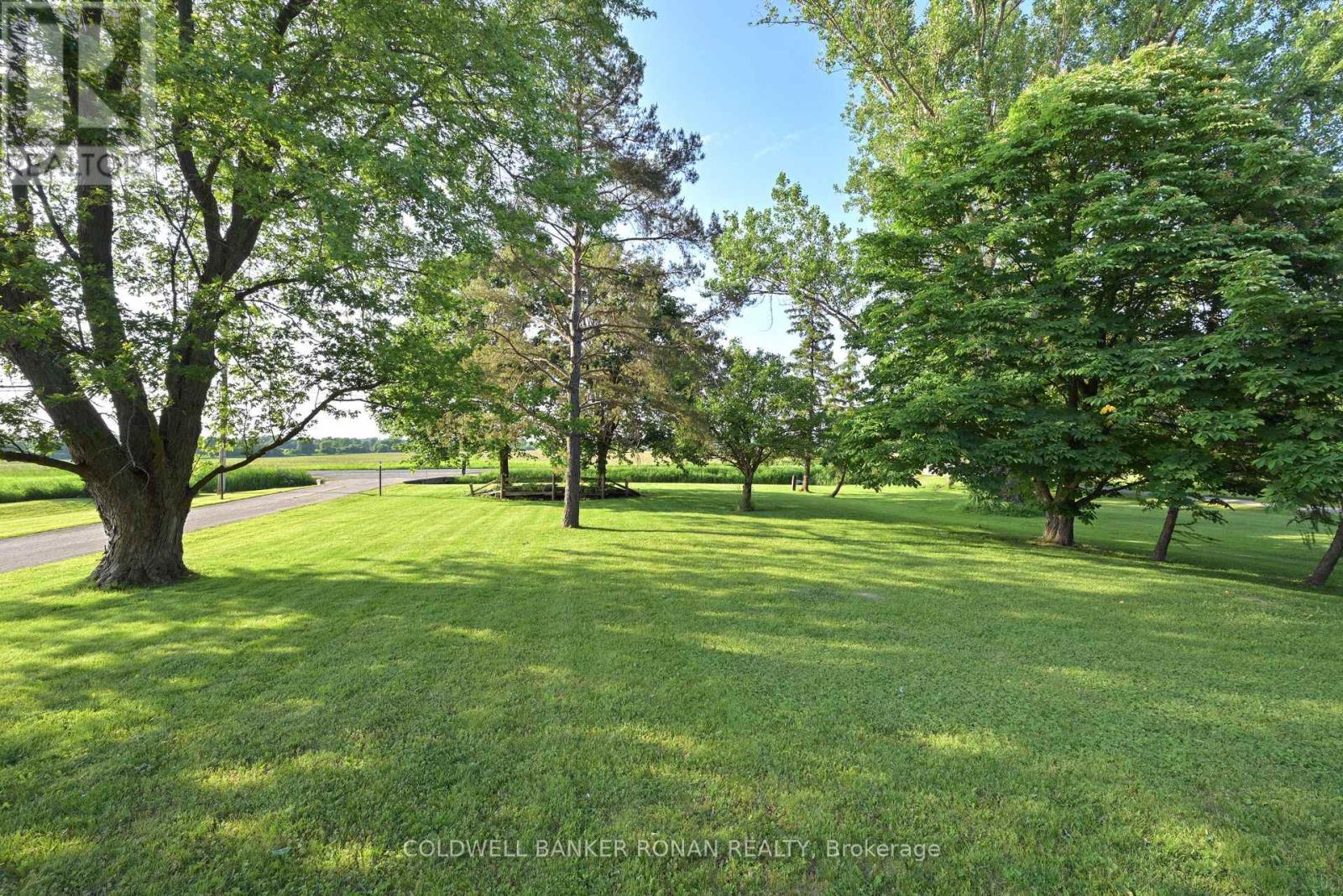 7157 5th Line, New Tecumseth, Ontario  L0G 1W0 - Photo 37 - N12995326