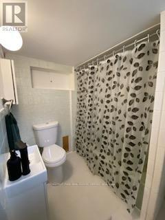 Lower - 173 Chambers Avenue, Toronto, Ontario  M6N 3M5 - Photo 15 - W12995368
