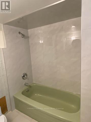 Lower - 173 Chambers Avenue, Toronto, Ontario  M6N 3M5 - Photo 17 - W12995368